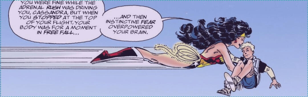 wonder woman carrying cassie sandsmark while saying "you were fine while the adrenal rush was driving you, cassandra, but when you stopped at the top of your flight, your body was for a moment in free fall and then instinctive fear overpowered your brain."